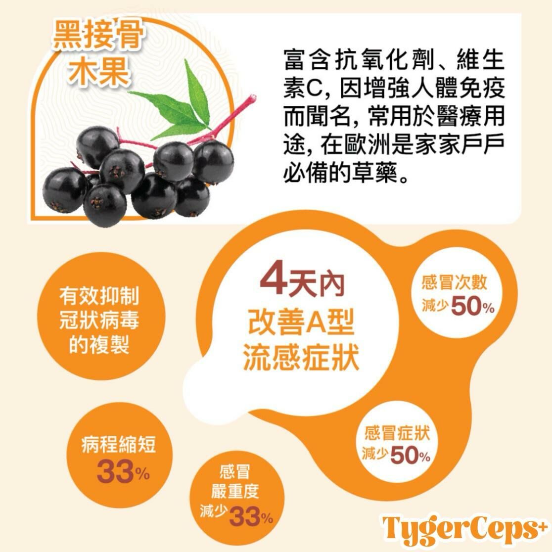 【一口價$499/盒】⭐️最新升級版配方⭐ TygerCeps+ 虎乳芝益肺寶 每盒有20包（一包20ml）