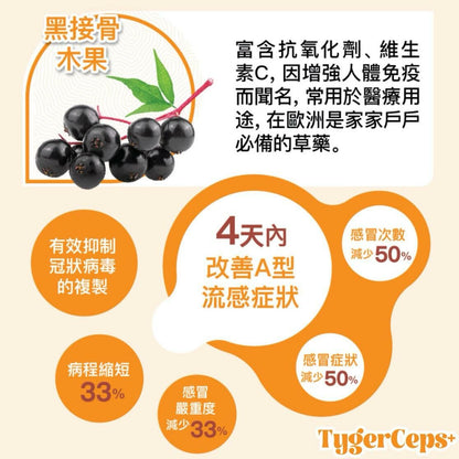 【一口價$499/盒】⭐️最新升級版配方⭐ TygerCeps+ 虎乳芝益肺寶 每盒有20包（一包20ml）