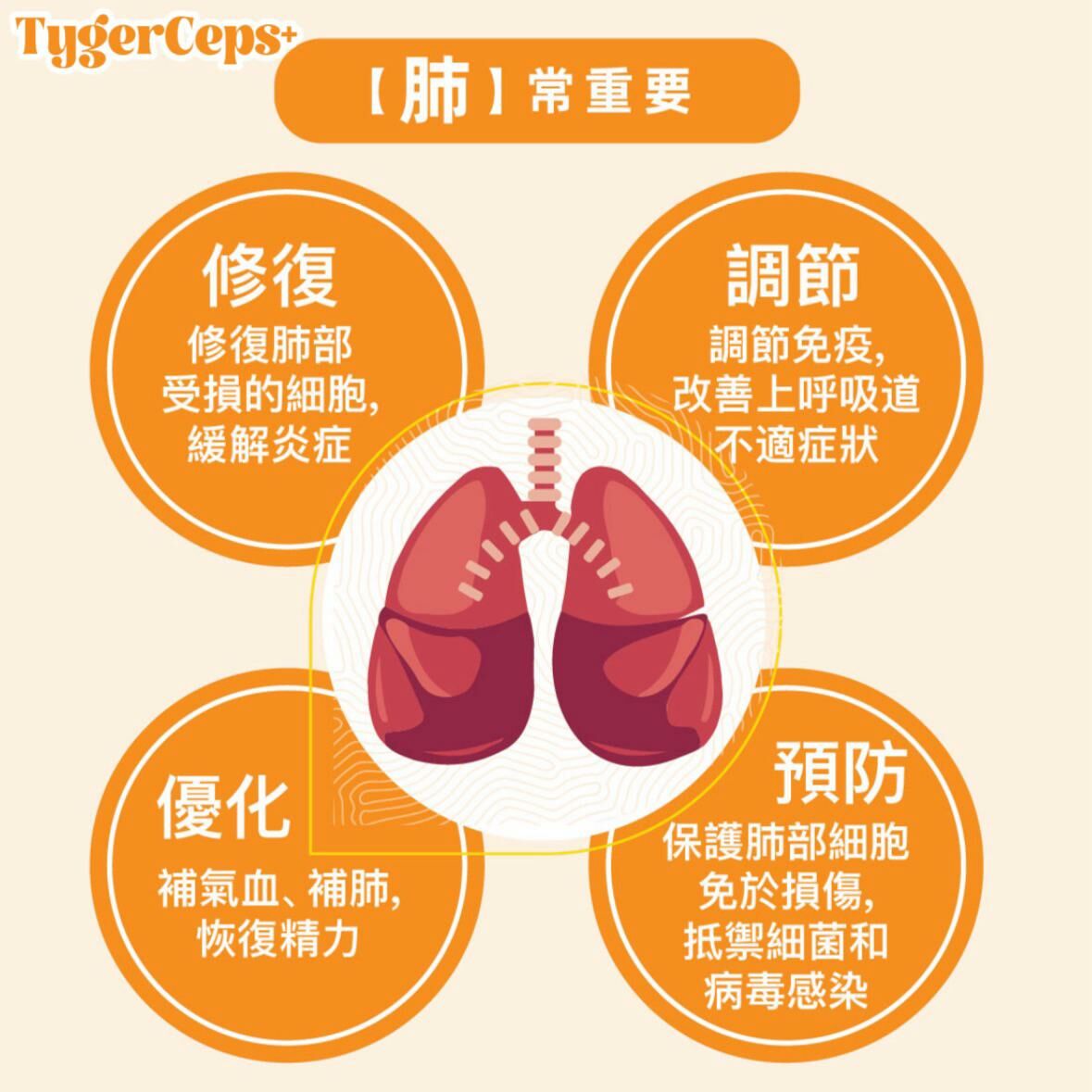 【一口價$499/盒】⭐️最新升級版配方⭐ TygerCeps+ 虎乳芝益肺寶 每盒有20包（一包20ml）